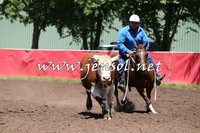 NimmitabelCampdraft2015_2329