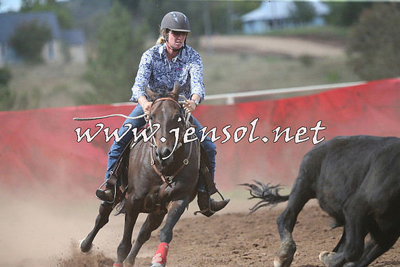 NimmitabelCampdraft2015_2462