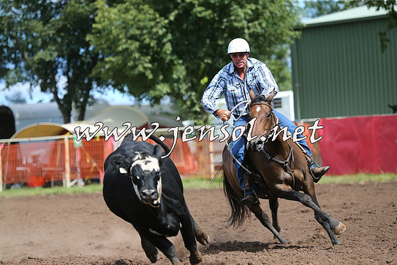 NimmitabelCampdraft2015_2346