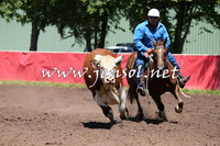 NimmitabelCampdraft2015_2327