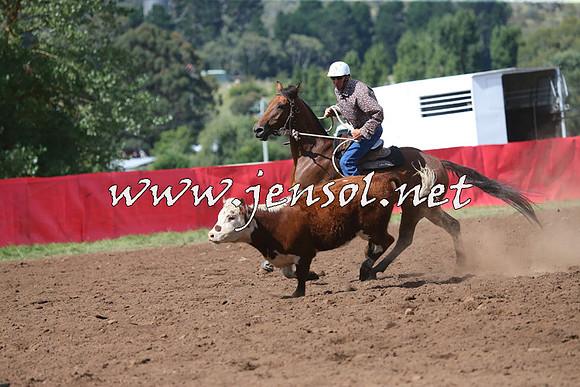 NimmitabelCampdraft2015_2439