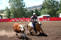 NimmitabelCampdraft2015_2302