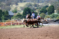 NimmitabelCampdraft2015_2314