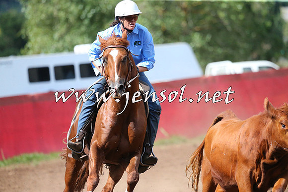 NimmitabelCampdraft2015_2404