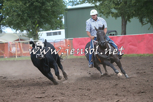 NimmitabelCampdraft2015_2481