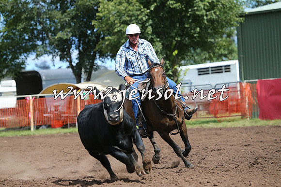 NimmitabelCampdraft2015_2348