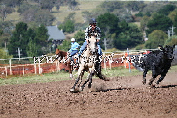 NimmitabelCampdraft2015_2434