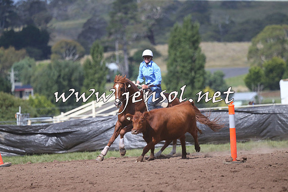 NimmitabelCampdraft2015_2414