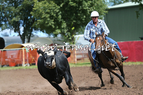 NimmitabelCampdraft2015_2343