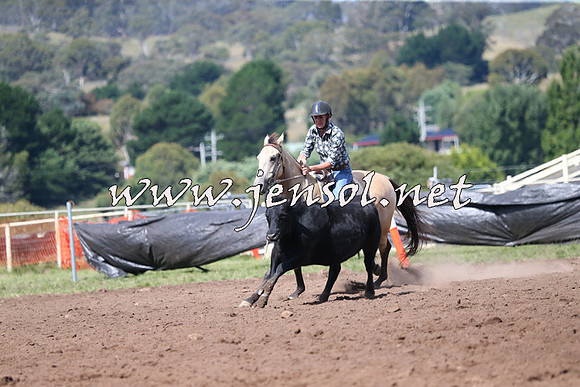 NimmitabelCampdraft2015_2431