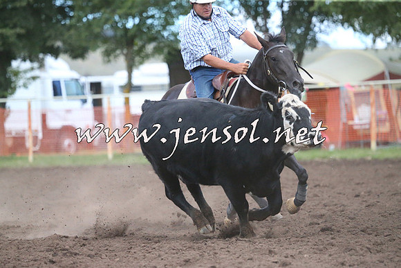 NimmitabelCampdraft2015_2478