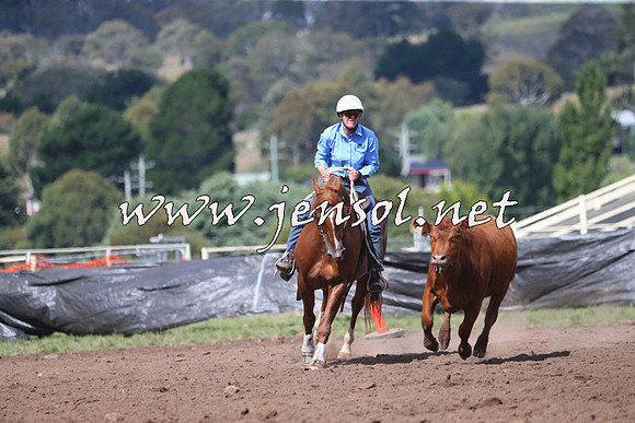 NimmitabelCampdraft2015_2419