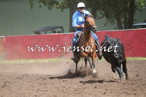 NimmitabelCampdraft2015_2381