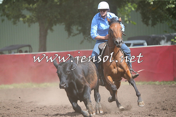 NimmitabelCampdraft2015_2385