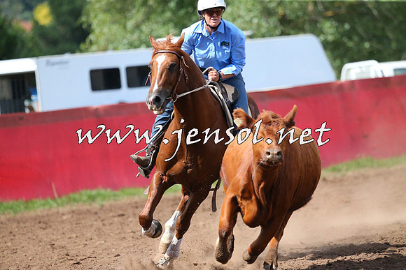 NimmitabelCampdraft2015_2397