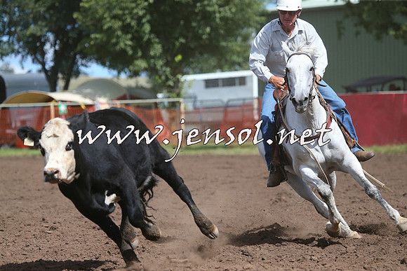 NimmitabelCampdraft2015_2376