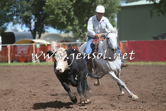 NimmitabelCampdraft2015_2374