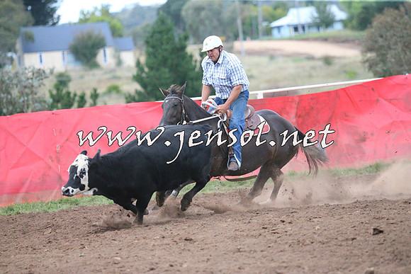 NimmitabelCampdraft2015_2473