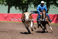 NimmitabelCampdraft2015_2330