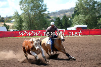 NimmitabelCampdraft2015_2303