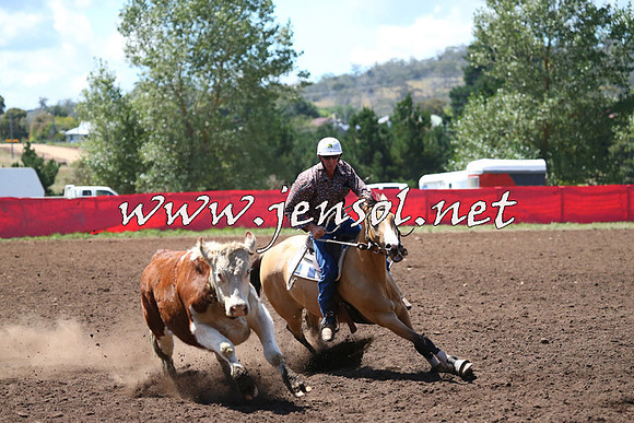 NimmitabelCampdraft2015_2303