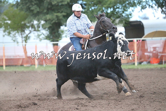 NimmitabelCampdraft2015_2476