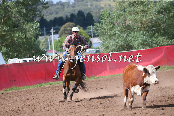 NimmitabelCampdraft2015_2443