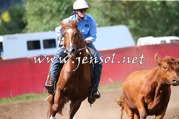 NimmitabelCampdraft2015_2406