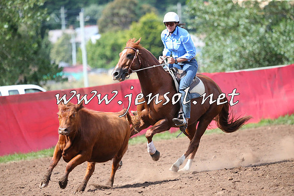 NimmitabelCampdraft2015_2395