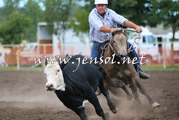 NimmitabelCampdraft2015_2467