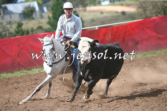 NimmitabelCampdraft2015_2367