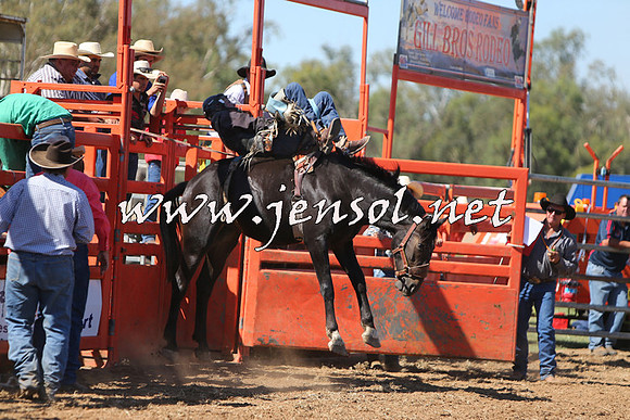ForbesRodeo2015_0669
