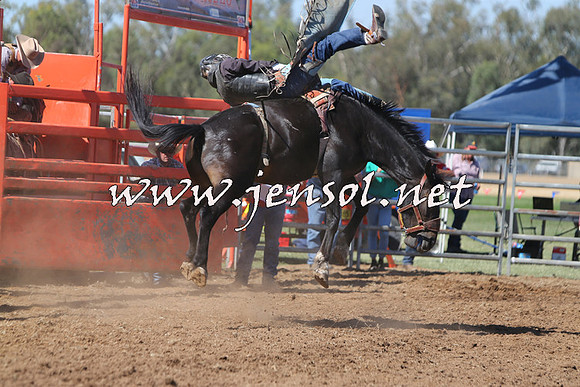 ForbesRodeo2015_0702