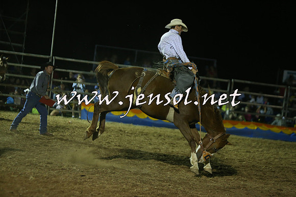 ForbesRodeo2015_2076