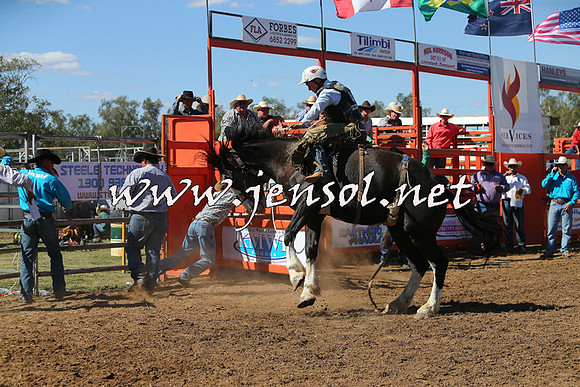 ForbesRodeo2015_0864