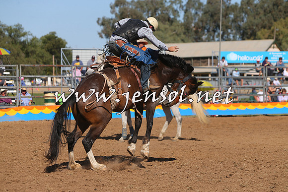 ForbesRodeo2015_1009