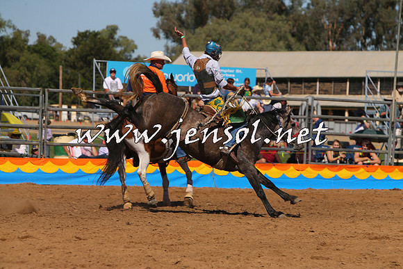 ForbesRodeo2015_0769