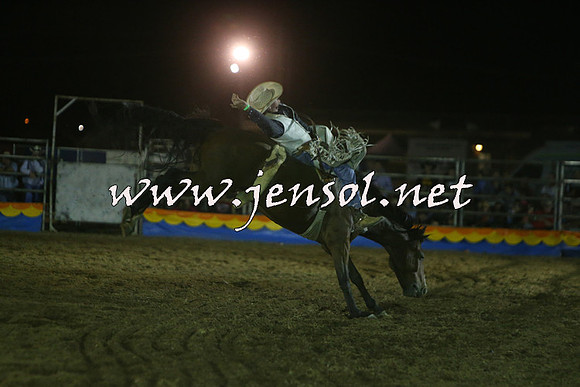 ForbesRodeo2015_2065