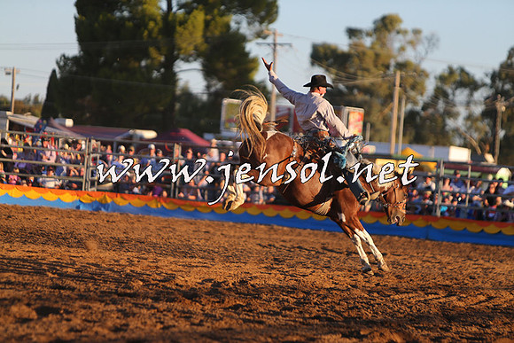 ForbesRodeo2015_1296
