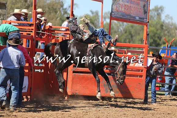 ForbesRodeo2015_0668
