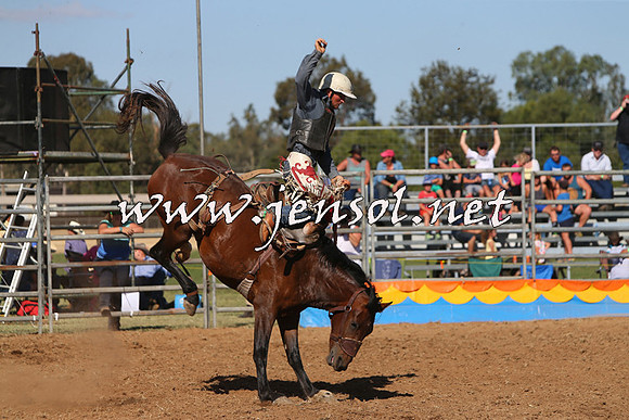 ForbesRodeo2015_0981