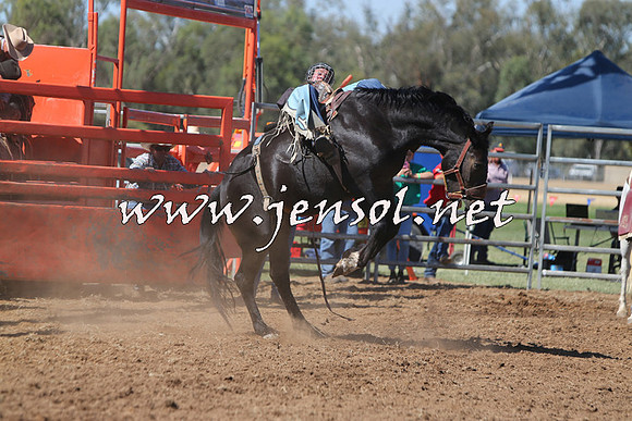 ForbesRodeo2015_0703
