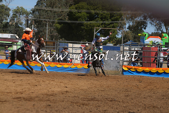 ForbesRodeo2015_0782