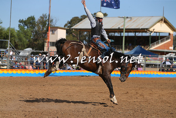 ForbesRodeo2015_1015