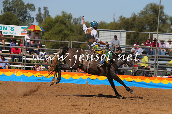 ForbesRodeo2015_0770