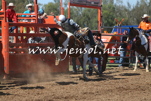 ForbesRodeo2015_0742