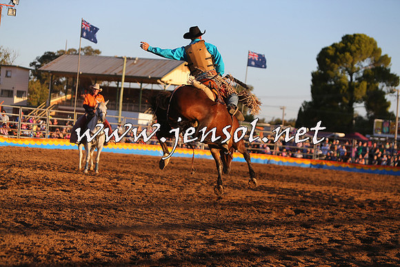 ForbesRodeo2015_1315