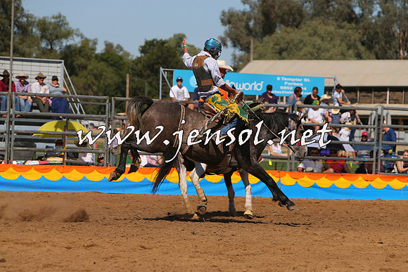 ForbesRodeo2015_0767