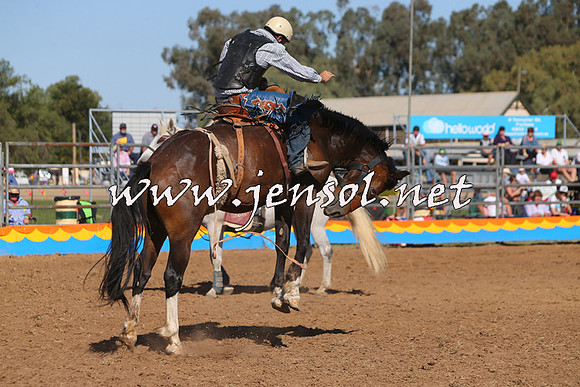ForbesRodeo2015_1006