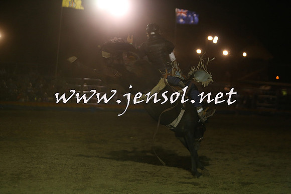 ForbesRodeo2015_2029